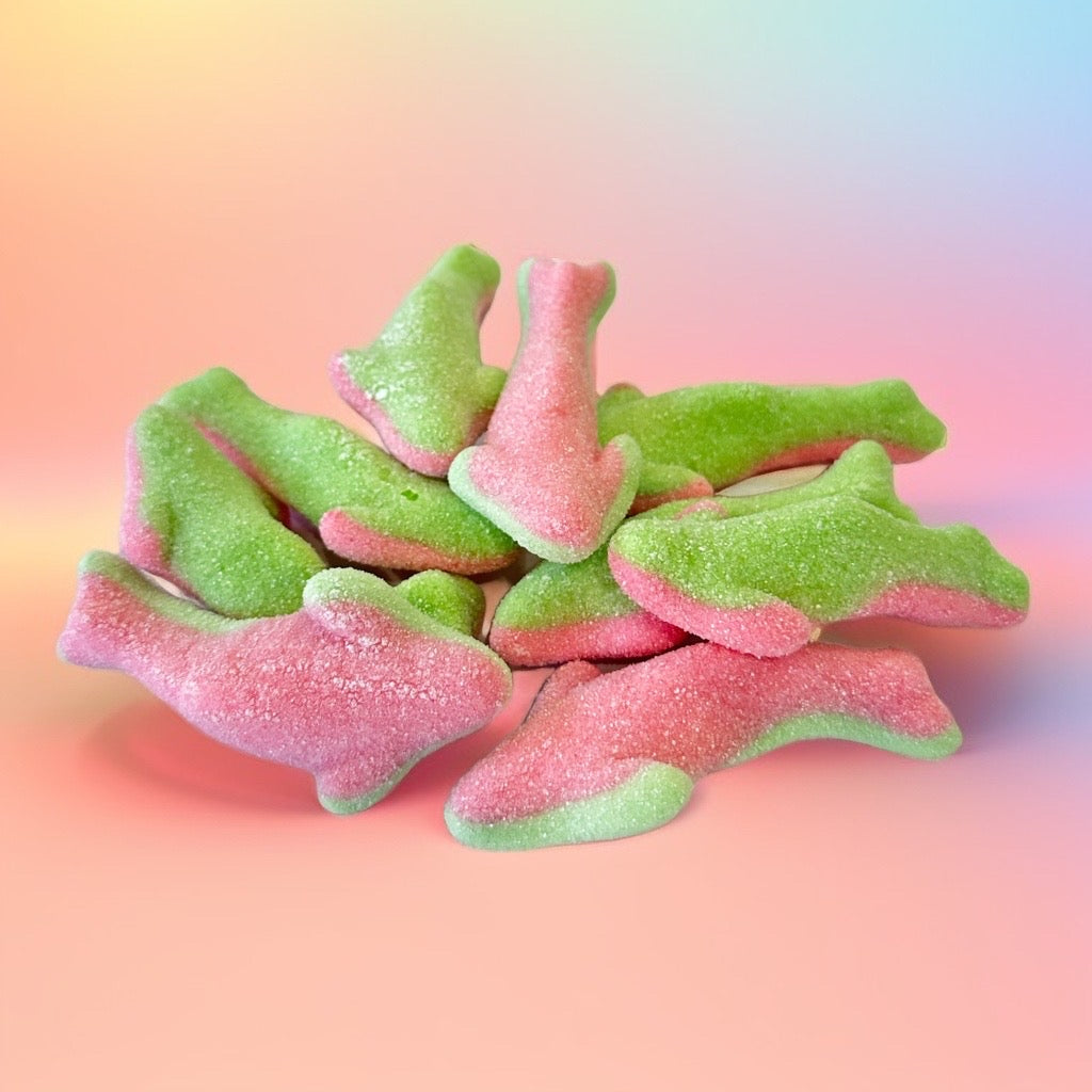 Freeze Dried Watermelon Sharks